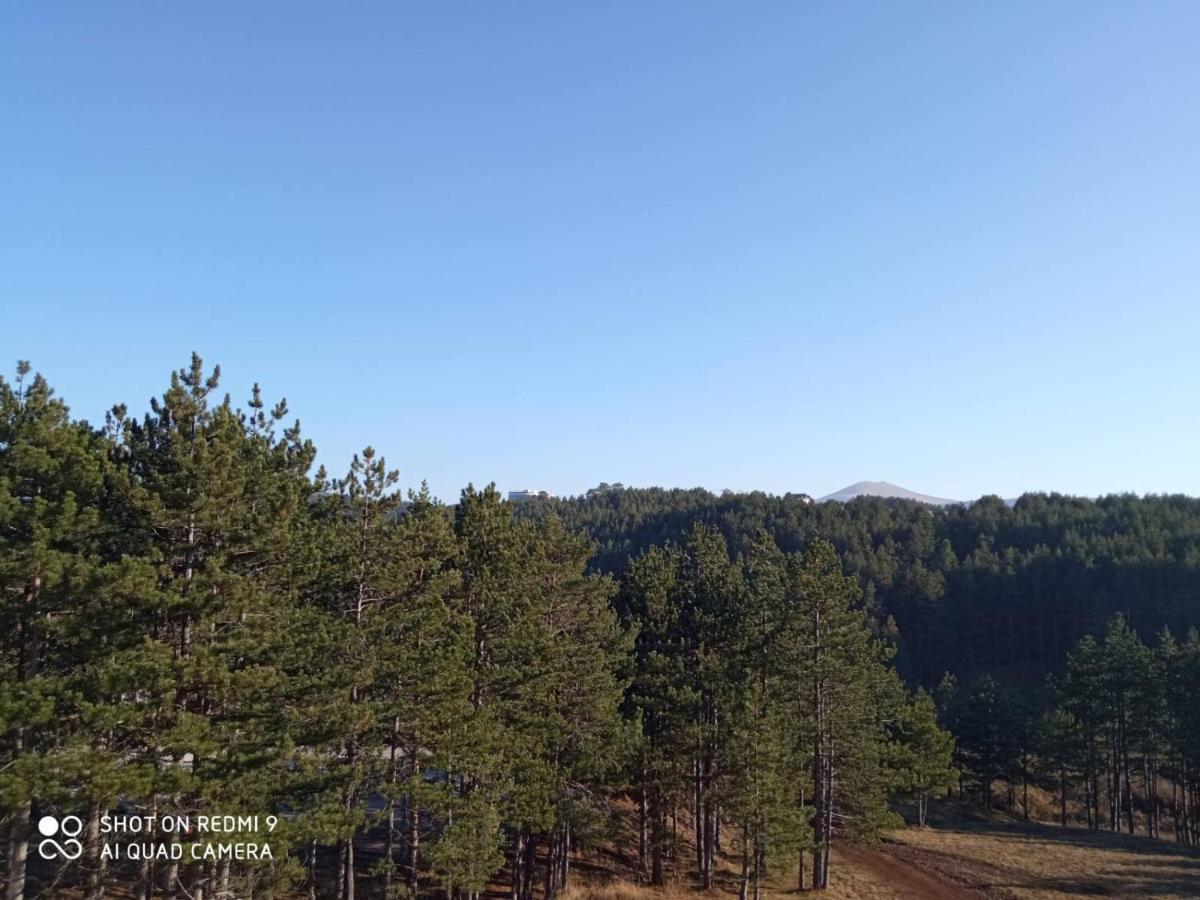 Nideho Estate Apartmani Zlatibor Exterior photo